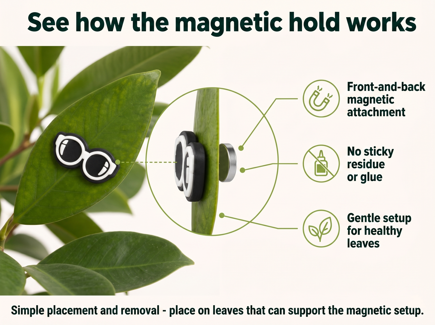 Plant Magnets: Adorable Expressions for Your Potted Plants