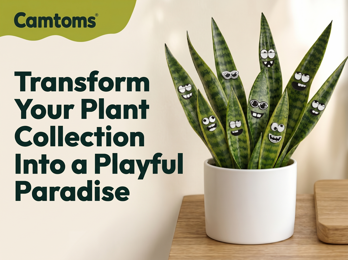 Plant Magnets: Adorable Expressions for Your Potted Plants